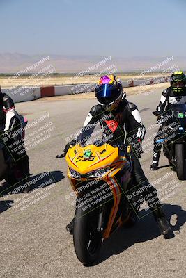 media/Aug-03-2024-TrackDaz (Sat) [[30bed884ff]]/C Group/Grid/